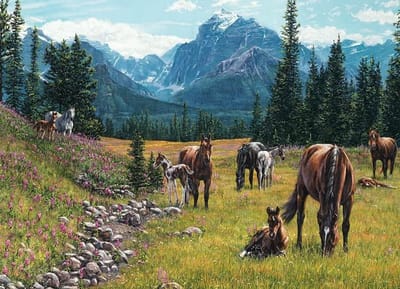 Legpuzzel Paardenweide - Puzzel 1000 stukjes - Ontspannen tijdverdrijf - Willekeurig gesneden stukken - 265 x 192 inch - Meerdere kleuren
