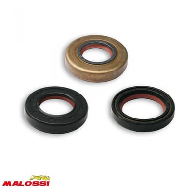 Joint spi moteur Malossi pour Moto MBK 50 X-Limit Après 1997 Neuf