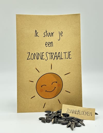 10 zakjes, ik stuur je een zonnestraaltje, zonnebloemzaden,kleine kadootjes, brievenbus,brievenbuskadootje,uitdeelkadootje,eigen ontwerp mogelijk,