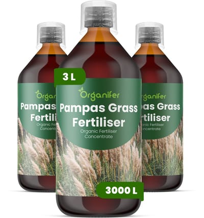 Vloeibare Meststof Voor Pampasgras 3X1 L Voor 3000 L - Npk 2-1-8 - Vergroot De Pluimgrootte - Dichtheid En De Seizoensgebonden Bloei-Impact - Versterkt Stengels Voor Hoge - Rechtopstaande Groei Bij Winderige Omstandigheden - Organifer