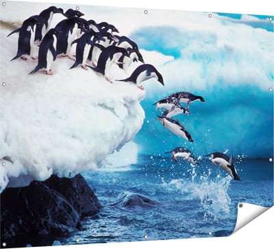 Gards Tuinposter Kudde Pingu�ns Springen vanaf een Rots - 160x120 cm - Tuindoek - Tuindecoratie - Wanddecoratie buiten - Tuinschilderij