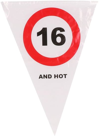 Verkeersbord vlaggenlijn 16 (5 mtr)