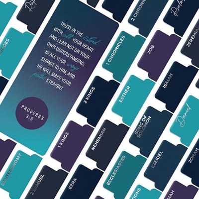 Bijbelboek Tabs - Bijbeltabbladen - Studie en Organisatie - Soft-touch Gelamineerd - Grote Print - Zilver Paars Blauw