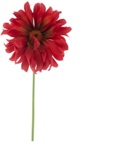 Erutan avon - Gerbera spray Lotte red 76 cm