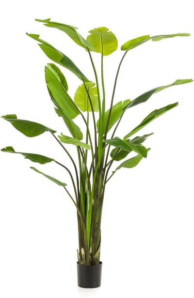 Emerald - Kunstplant Strelitzia Nicolai 235cm - Kunstplant voor binnen