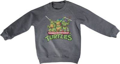 Teenage Mutant Ninja Turtles Teeange Mutant Ninja Turtles Distressed Group kindersweatshirt, donkergrijs gemêleerd