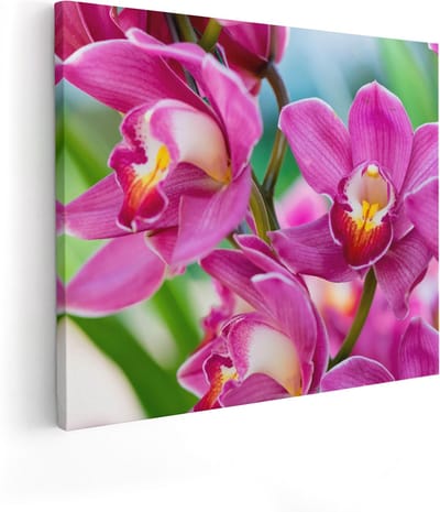 Artaza Canvas Schilderij Bloemen - 50x40 cm - Wanddecoratie Orchidee - Muurdecoratie Stilleven - Kamer Accessoires