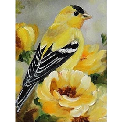 DIY 5D Diamond schilderij vogel dier volledige ronde diamant borduurwerk bloemen kruissteek 20X30CM black
