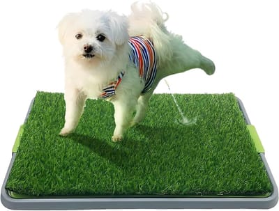 Honden Toiletkom met Wasbare Plasmat en Kunstgras voor Puppy Toilettraining, Draagbare Binnenkom voor Honden