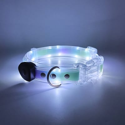 Lichtgevende halsband-nachtzicht-verloren voorkomen-hondentuig-hoog helderheid-hondenriem-huisdieraccessoire—Groen-paarse halsband