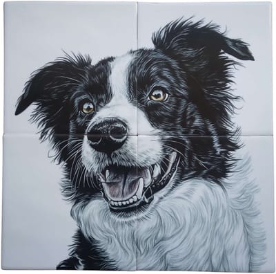 MadDeco Nederlands fabrikaat Bordercollie op plateau van 4 tegels Friese Witjes 13 x 13 cm per tegel