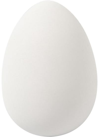 Creativ Company Goose eggs White 8st.