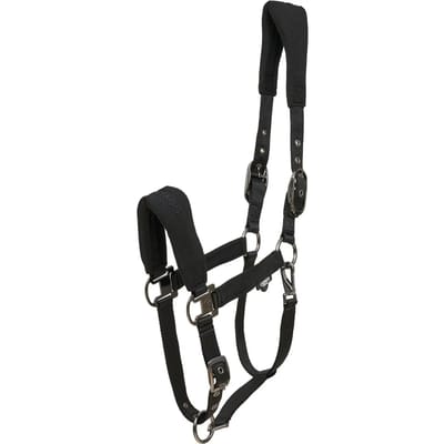 Nylon hoofdstel voor paard Catago FIR-Tech