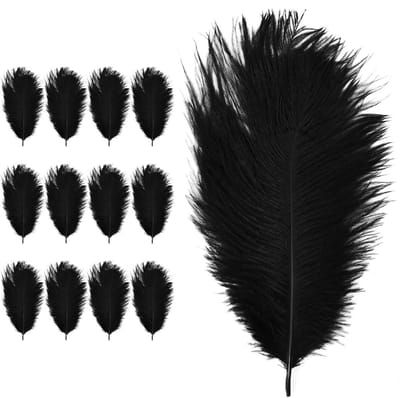 Natuurlijke Struisvogelveren 20-25cm - 12 Stuks voor Creatieve DIY Projecten, Droomvangers, Feestdecoratie en Kostuums