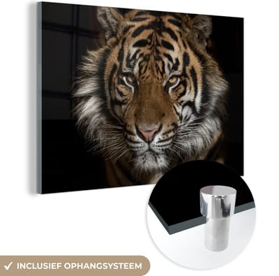 MuchoWow® Glasschilderij 120x80 cm - Schilderij acrylglas - Tijger - Wilde dieren - Portret - Foto op glas - Schilderijen