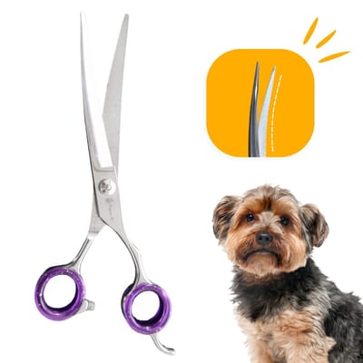 Professor Q Professionele Up Gebogen Hondenschaar – Paars, 7.5 Inch (19.5 cm) – Perfect voor Langharige Honden