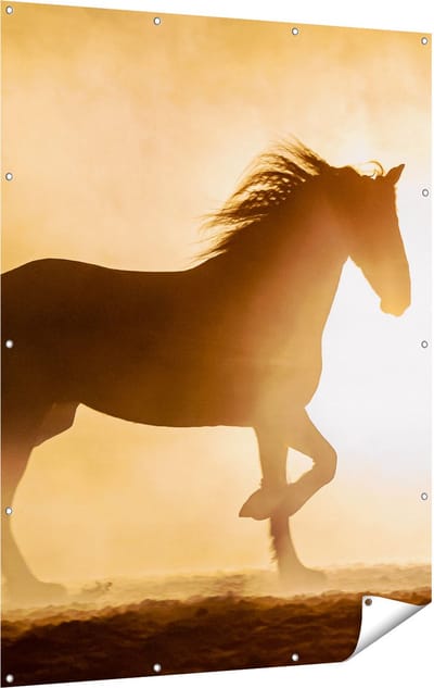 Gards Tuinposter Silhouet van een Paard - 120x160 cm - Tuindoek - Tuindecoratie - Wanddecoratie buiten - Tuinschilderij