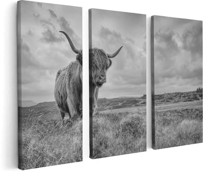 Artaza Canvas Schilderij Drieluik Schotse Hooglander In De Wei - Zwart Wit - 120x80 - Foto Op Canvas - Canvas Print