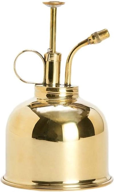 Gieter Watering Fles - Kleine Gietkan - Planten Water Geven - Lange Nauwkeurige Tuit - 300ml Capaciteit - Goud