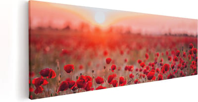 Artaza Canvas Schilderij Klaprozenveld - 60x20 cm - Wanddecoratie Bloemen - Schilderijen Op Canvas Natuur - Decoratie Zomer