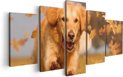 Artaza Canvas Schilderij Vijfluik Golden Retriever Hond In De Herfst Bladeren - 100x50 - Foto Op Canvas - Canvas Print
