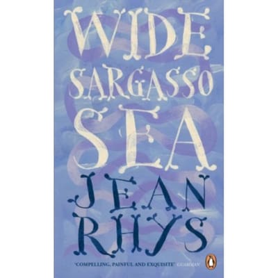 Wide Sargasso Sea door Jean Rhys Paperback Boek 9780241951552