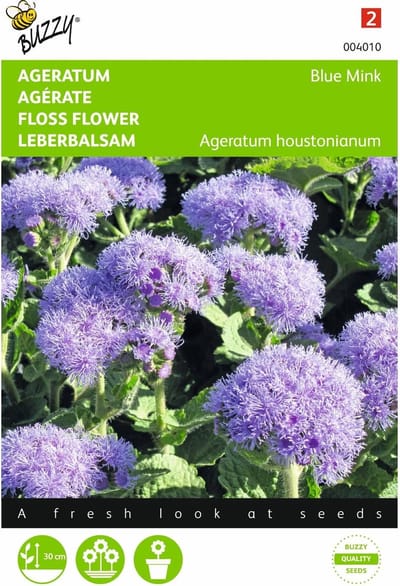 2 stuks Ageratum, Leverbalsem Blue Mink