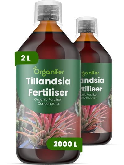 Vloeibare Meststof Voor Tillandsia 2X1 L Voor 2000 L - Npk 2-1-8 - Versterkt De Bladstructuur En Stevigheid - Bevordert Compacte - Evenwichtige Groei - Geschikt Voor Grondloze En Opgehangen Planten - Ondersteunt Langdurige Vitaliteit - Organifer
