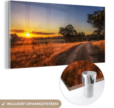 MuchoWow® Glasschilderij 40x20 cm - Schilderij acrylglas - Zon - Gras - Boom - Natuur - Foto op glas - Schilderijen