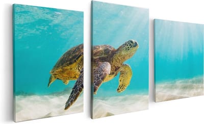 Artaza Canvas Schilderij Drieluik Schildpad Zwemt in de Helder Blauwe Zee - 120x60 - Foto Op Canvas - Canvas Print