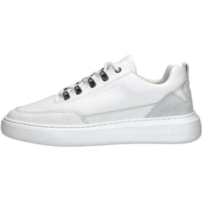 Cycleur De Luxe - Brink Wit 42