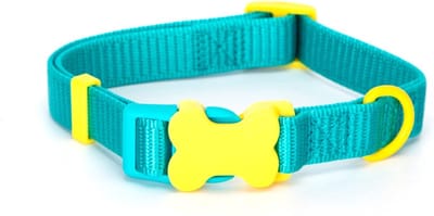 Nobleza Klikhalsband voor puppy - Maat M - Verstelbaar 30 / 50 cm - Nylon - Blauw