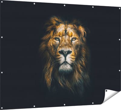 Gards Tuinposter Leeuw - Leeuwenkop - Kleur - 160x120 cm - Tuindoek - Tuindecoratie - Wanddecoratie buiten - Tuinschilderij