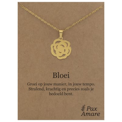 Stainless Steel Bloem ketting op Cadeau Kaartje - Bloei - 45cm Zilverkleurig Roestvrij Staal - Pax Amare