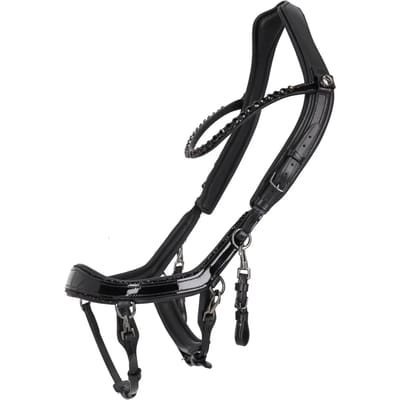 Hoofdstellen voor paarden Presteq FaySport Blackpearl