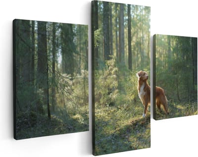 Artaza Canvas Schilderij Drieluik Retriever Hond In Het Bos Met Zon - 90x60 cm - Wanddecoratie Woonkamer - Schilderijen - Muurdecoratie