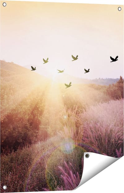 Gards Tuinposter Silhouet Zwerm Vogels bij Zonsondergang - 60x80 cm - Tuindoek - Tuindecoratie - Wanddecoratie buiten - Tuinschilderij