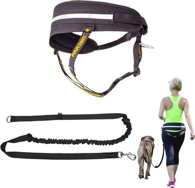 Multifunctionele loopriem - Hondenriem met handvat - Sporten met hond - Met schokdemper - 25 x 170 cm - Zwart