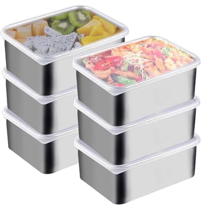 Dailygoods- Vleeswarendozen 6 Stuks - Roestvrij Stalen Container met Deksel - Vriesdoos - Stapelbare Doos - Maaltijdprep Dozen - 13,8 x 5,7 x 10,8 cm - Voedselopslag