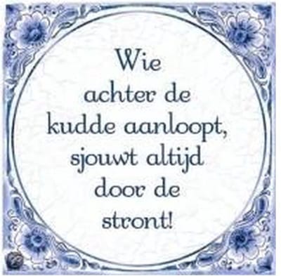 Tegels delfts blauw - Kudde