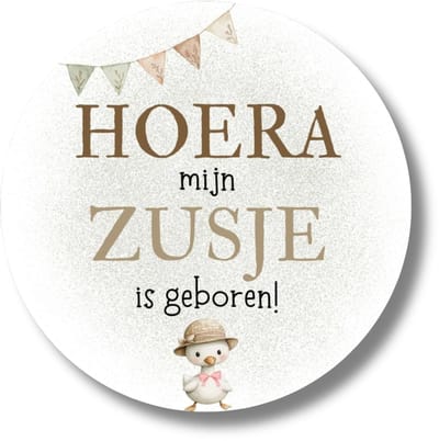 Geboorte Stickers Zusje - Hoera Mijn Zusje Is Geboren - 20 Traktatie Stickers - Memories Are Timeless