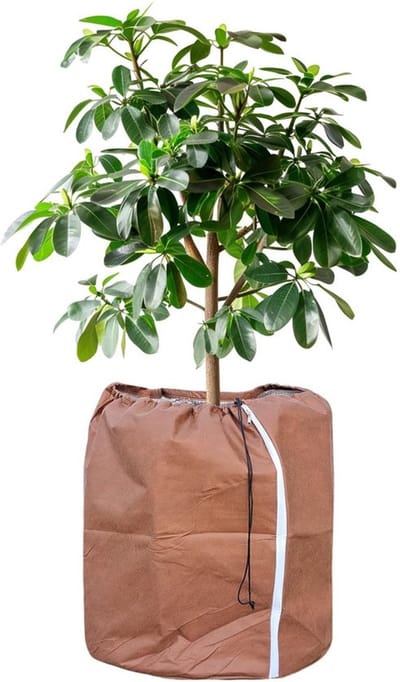 Allecto - Thermo potbescherming - Beschermzak voor planten