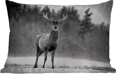 Buitenkussens - Tuin - Dieren - Hert - Winter - Zwart - Wit - 50x30 cm