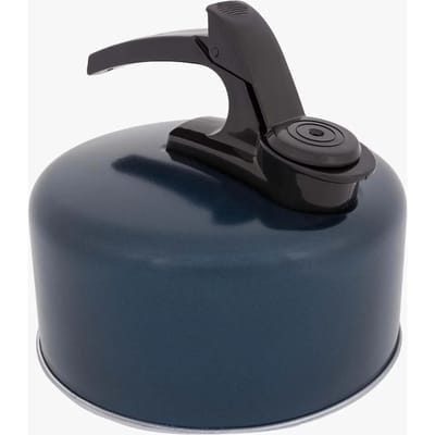 Grote Alu fluitketel