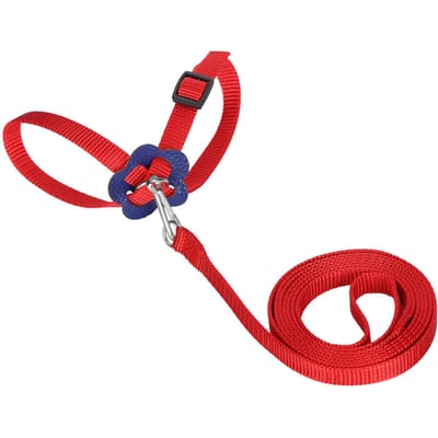 Vogelharnas Papegaaienlijn Verstelbaar Vogels Nylon Anti-Bijt Touw voor Buitentraining(Rouge ) rood