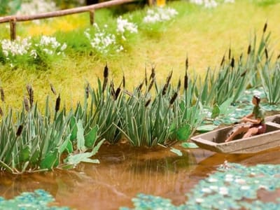 Riet