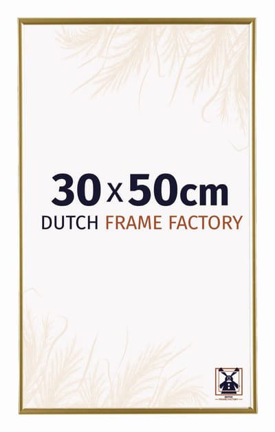 Fotolijst 30x50 cm - Kunststof - Goud - Easy