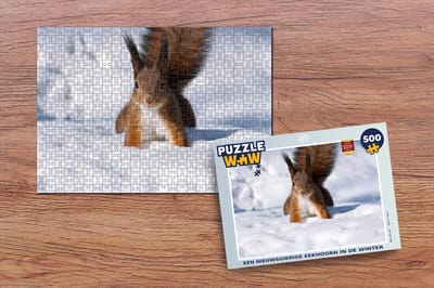 Puzzel Eekhoorn - Knaagdier - Sneeuw - Winter - Legpuzzel - Puzzel 500 stukjes - Kerst - Cadeau - Kerstcadeau voor mannen, vrouwen en kinderen