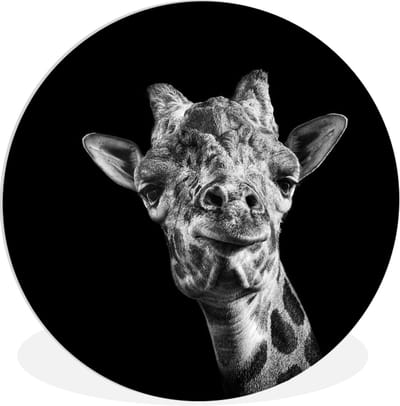 WallCircle® Wandcirkel 60x60 cm - Muurcirkel Giraffe tegen zwarte achtergrond in zwart-wit - Muurdecoratie woonkamer - Wanddecoratie slaapkamer - Kamer decoratie accessoires - Ronde schilderijen