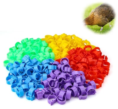 Dailygoods- Kippenringen 250 stuks - Gevogelte Voetringen - Herbruikbaar - Sterk/Duurzaam - Vogelidentificatieringen - PP Materiaal